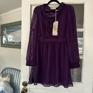 NWT Tulle / Anthropologie Purple Sheer Detailing Dress